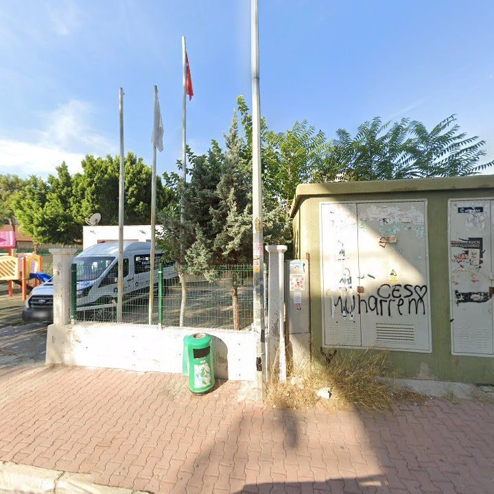 Fotoğraf 9