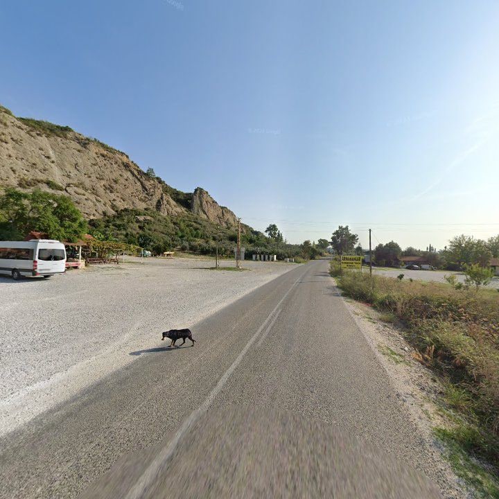 Fotoğraf 7