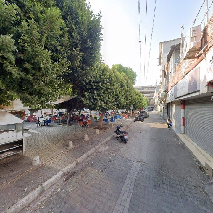 Fotoğraf 8