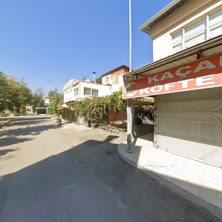Fotoğraf 9