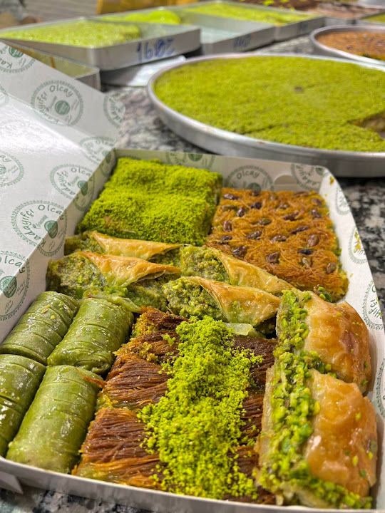 Fotoğraf 9