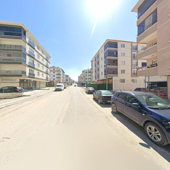 Fotoğraf 11