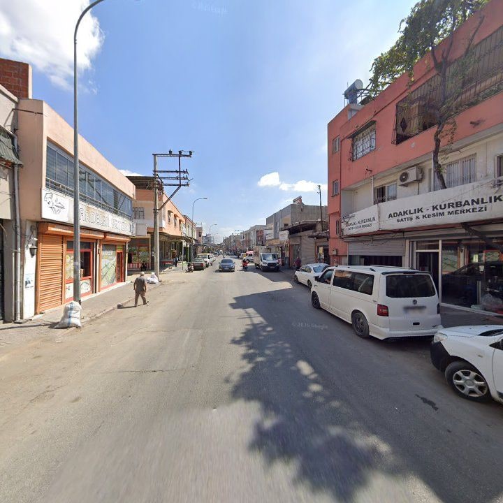 Fotoğraf 5