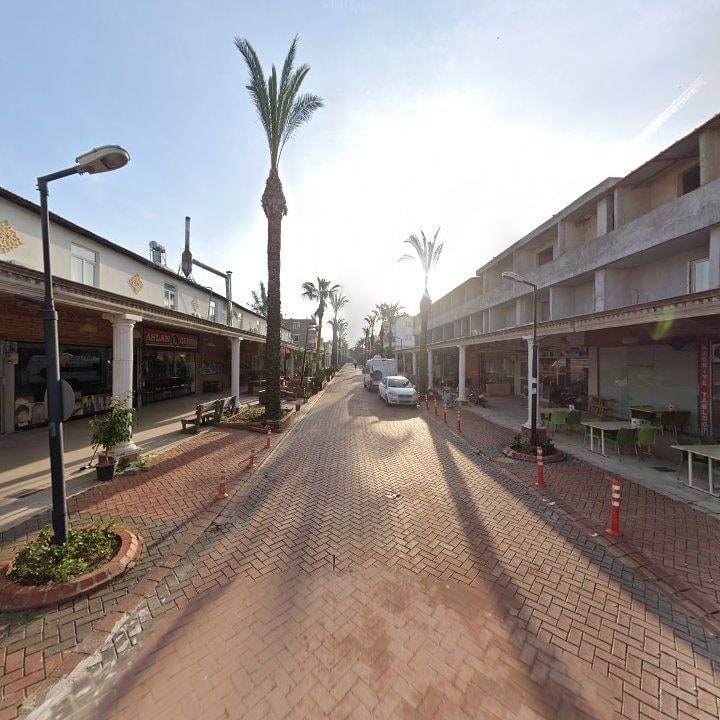 Fotoğraf 6
