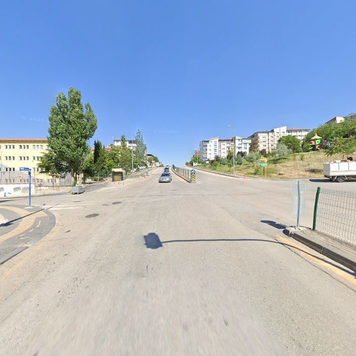 Fotoğraf 8