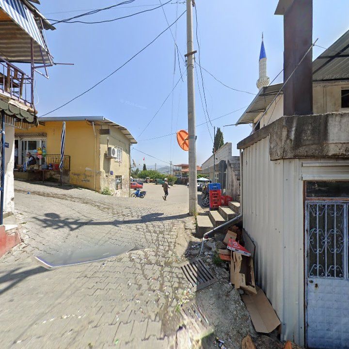 Fotoğraf 6