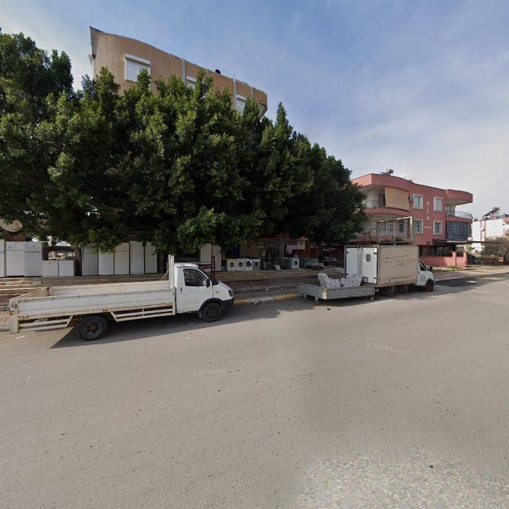 Fotoğraf 7