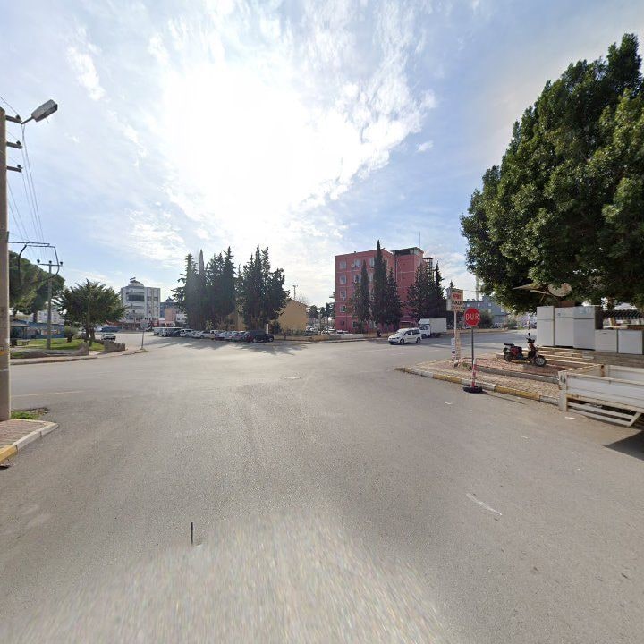 Fotoğraf 10