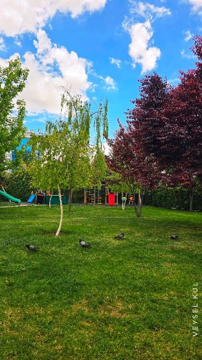 KAFES GARDEN