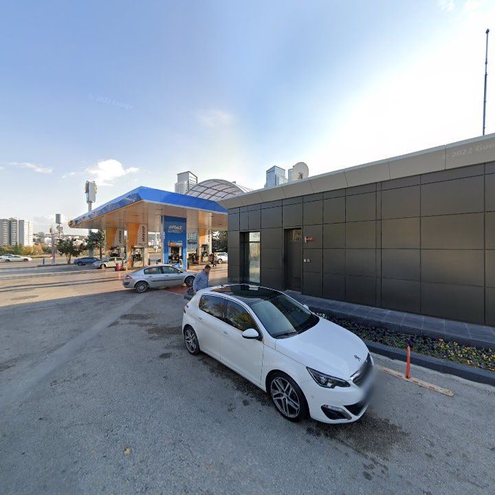 Fotoğraf 10