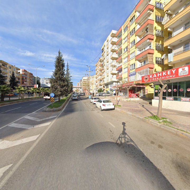 Fotoğraf 10