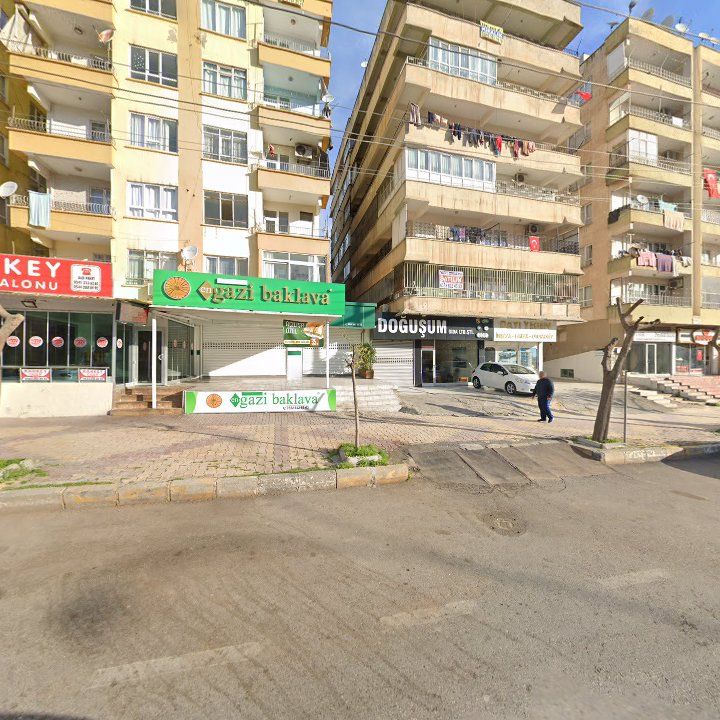 Fotoğraf 7