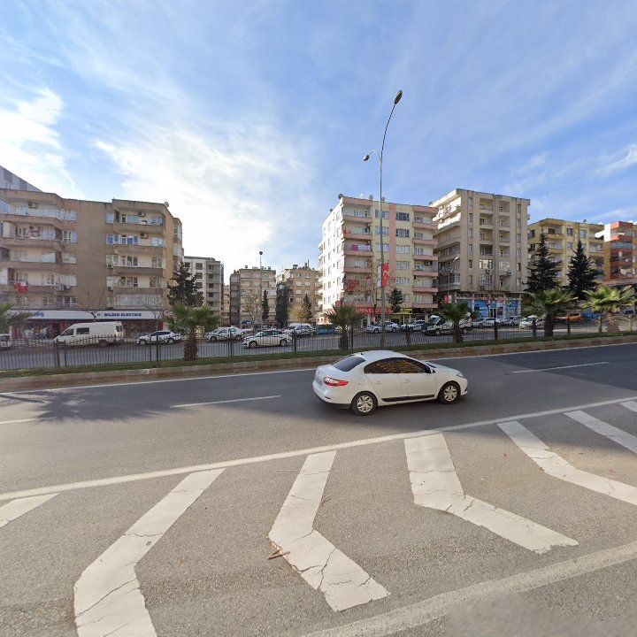 Fotoğraf 9