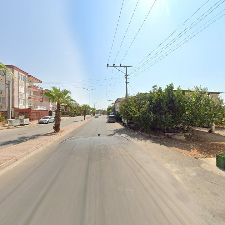 Fotoğraf 8