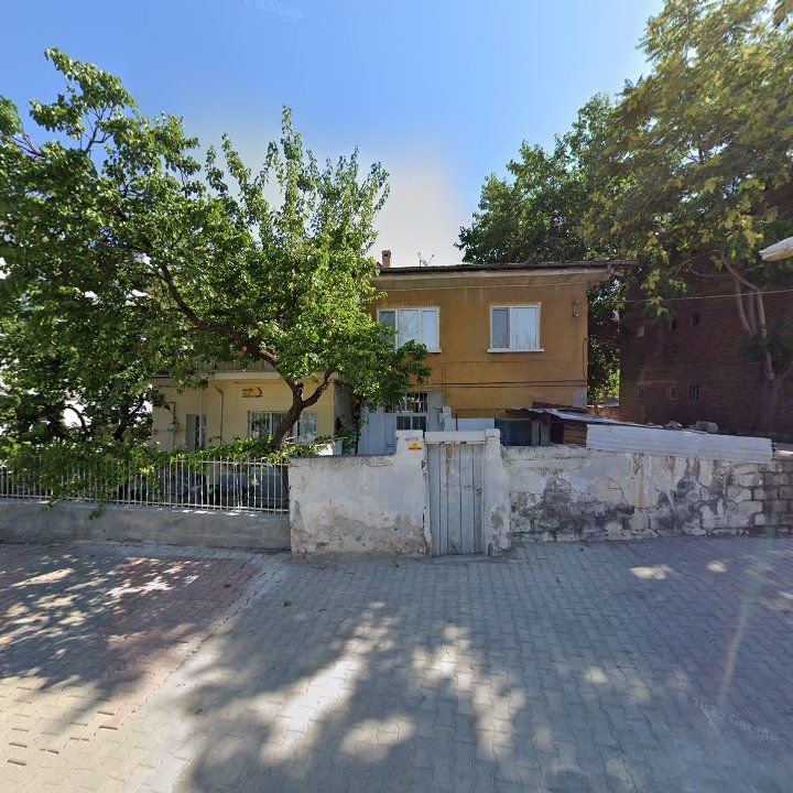 Fotoğraf 7