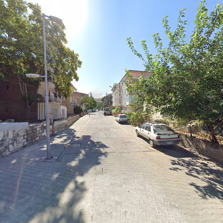Fotoğraf 8