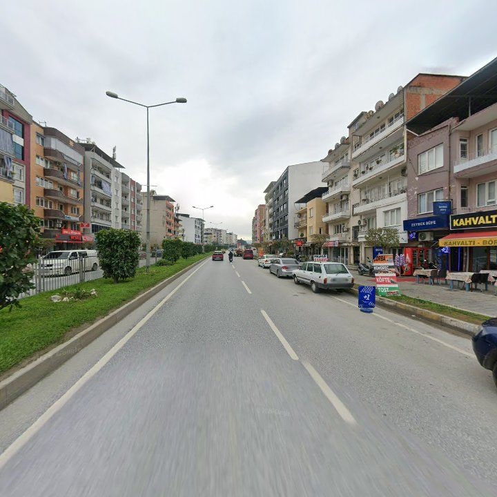 Fotoğraf 7