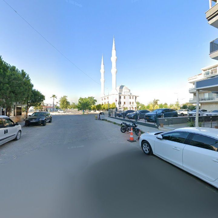 Fotoğraf 11