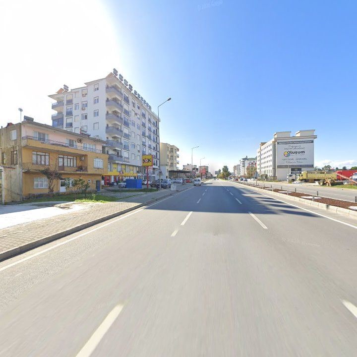 Fotoğraf 8