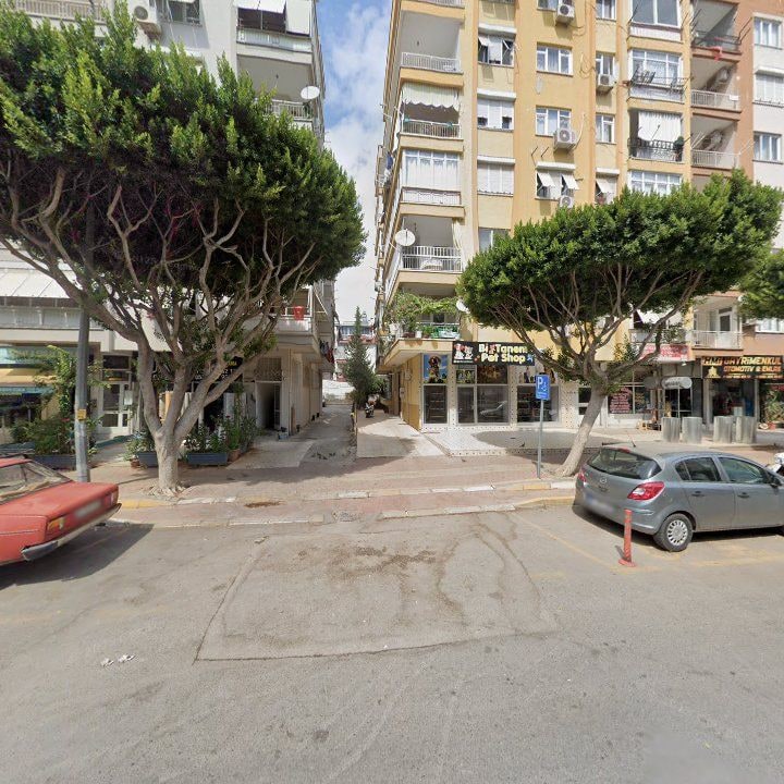 Fotoğraf 8