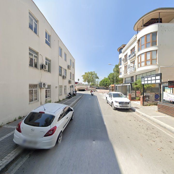 Fotoğraf 11