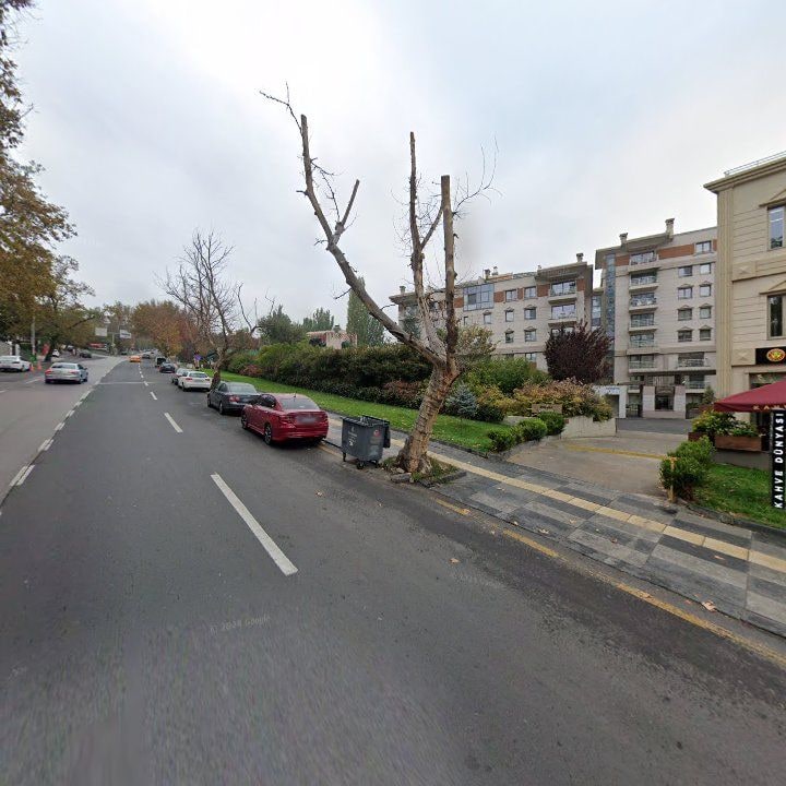 Fotoğraf 12