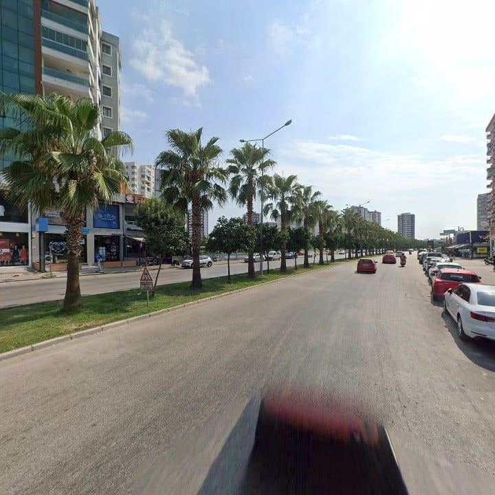 Fotoğraf 12
