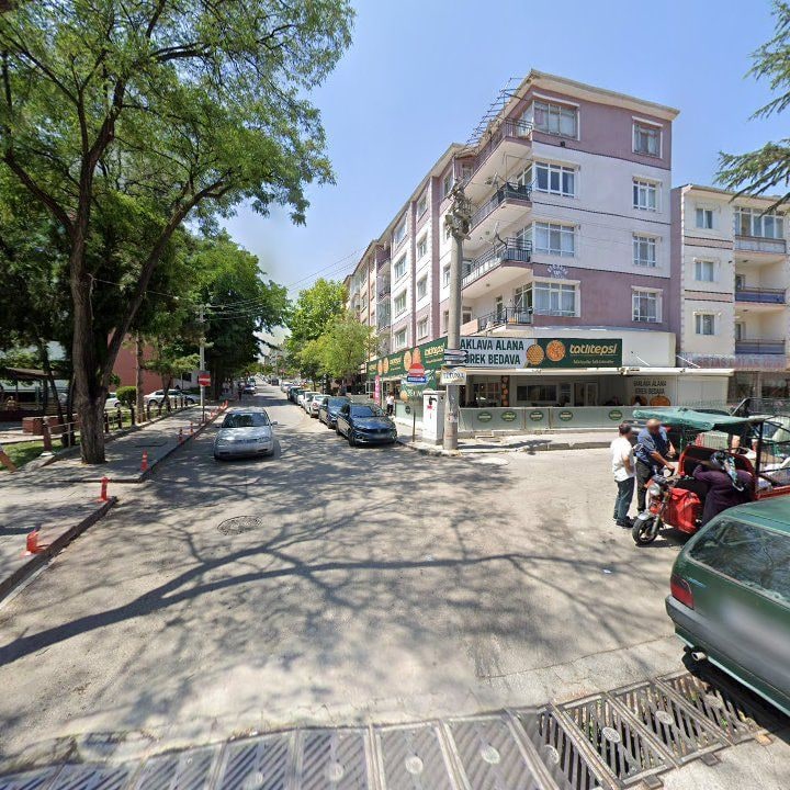 Fotoğraf 9