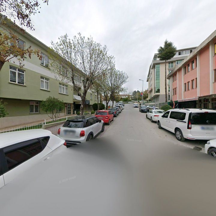 Fotoğraf 11