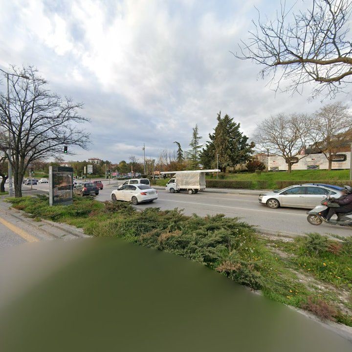 Fotoğraf 13