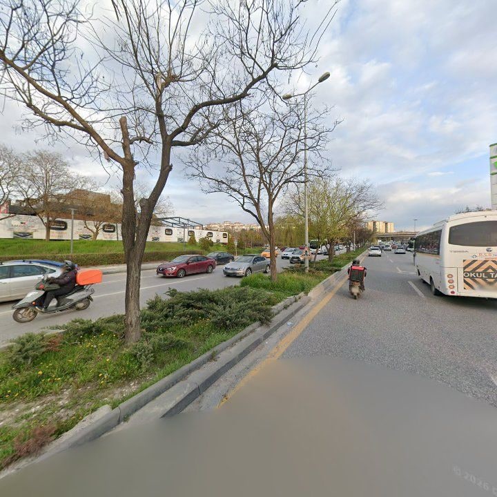 Fotoğraf 14