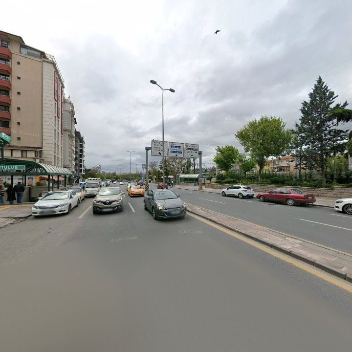 Fotoğraf 10