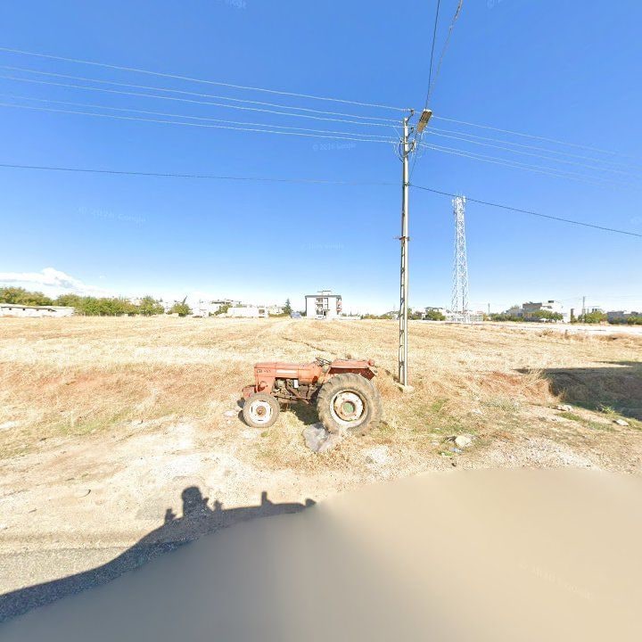 Fotoğraf 5