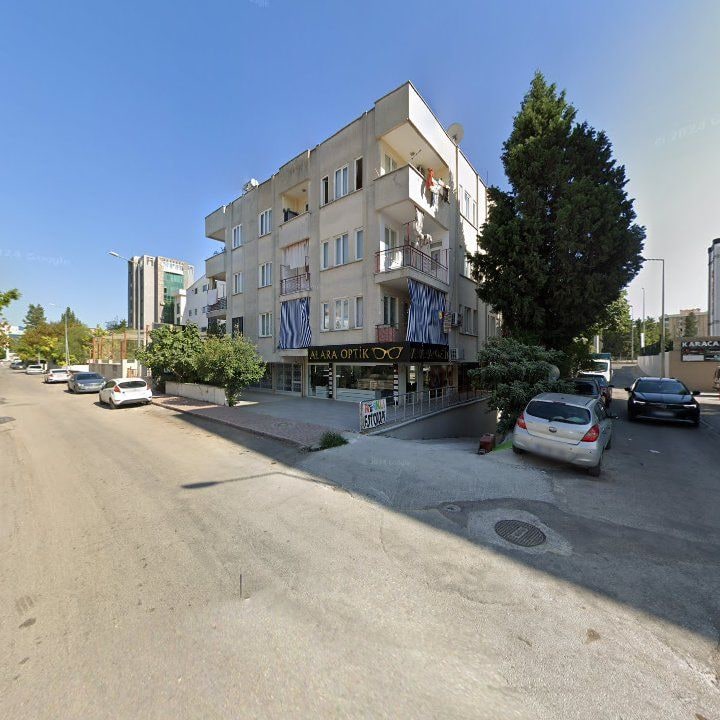 Fotoğraf 12