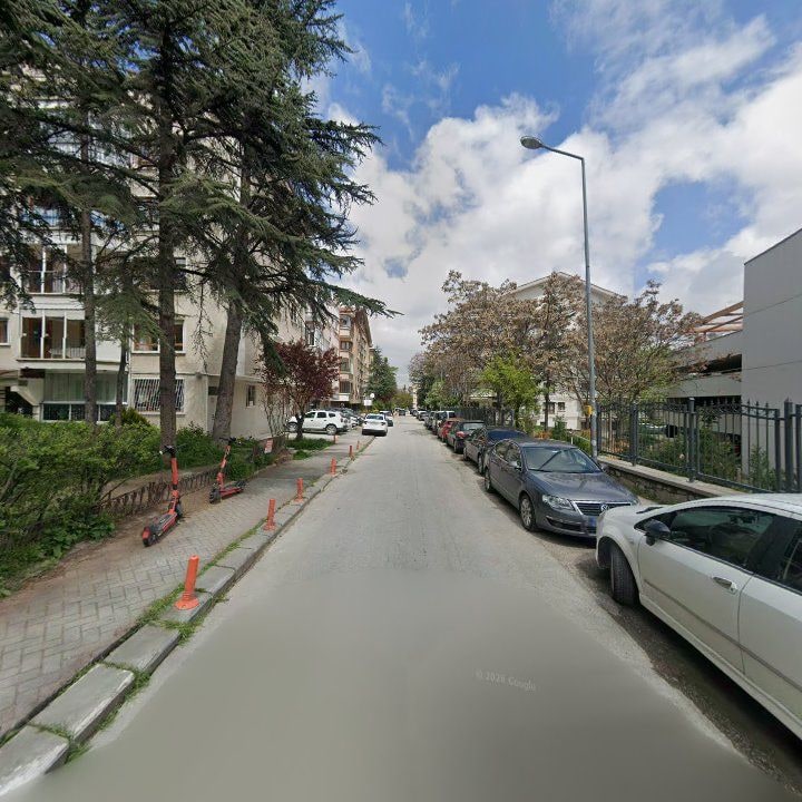 Fotoğraf 11