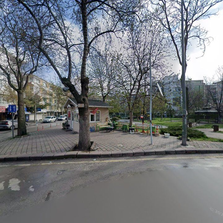 Fotoğraf 9