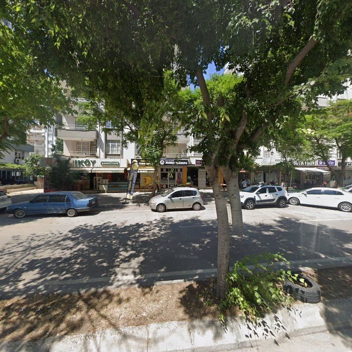 Fotoğraf 7