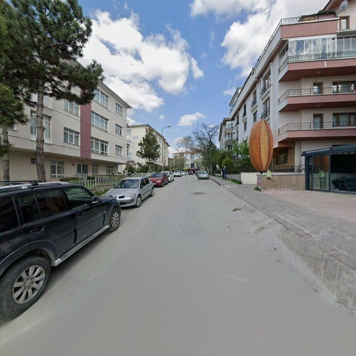 Fotoğraf 11