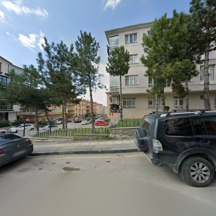 Fotoğraf 10