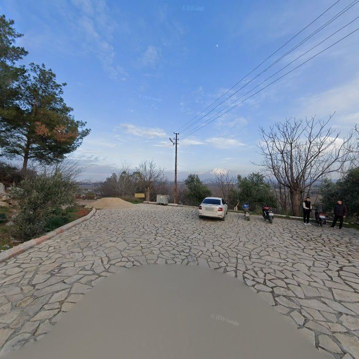 Fotoğraf 8