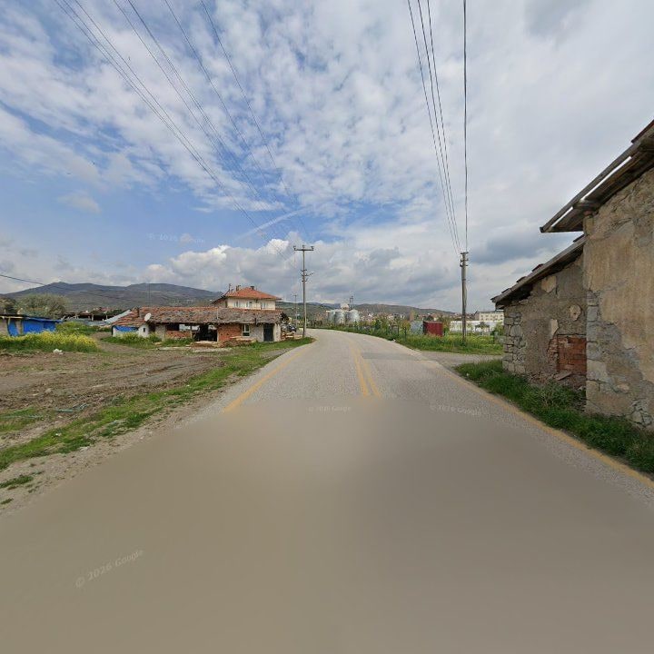 Fotoğraf 7