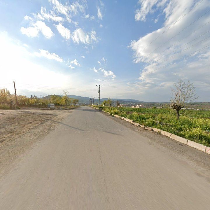 Fotoğraf 5