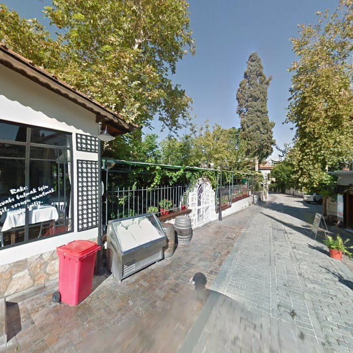 Fotoğraf 13