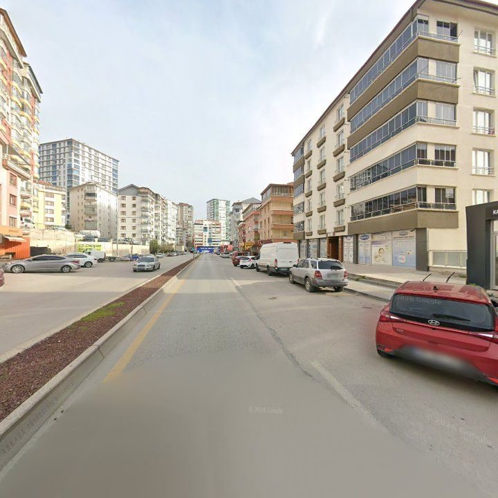 Fotoğraf 9