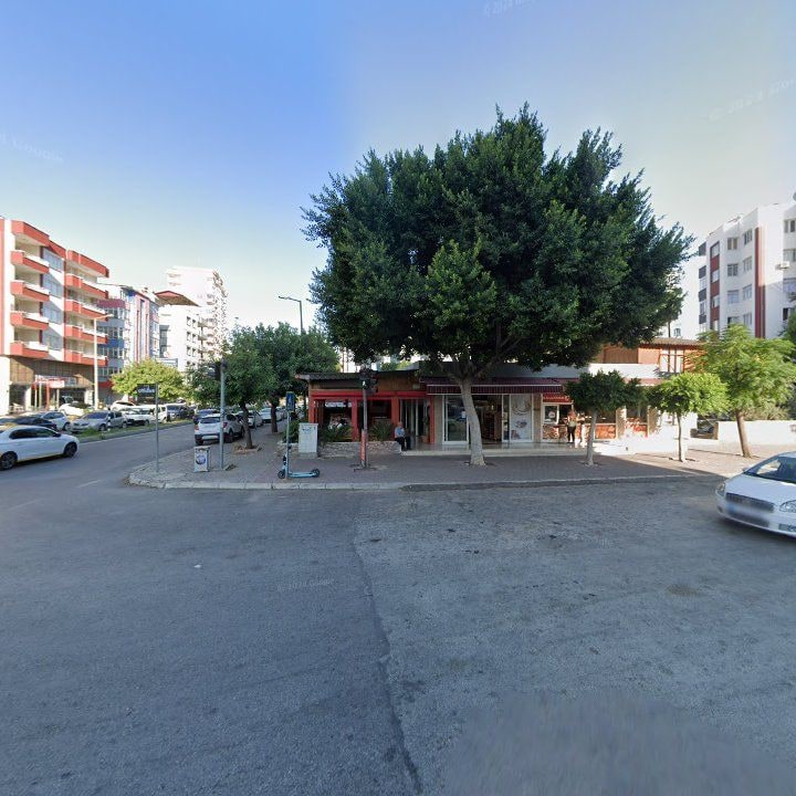 Fotoğraf 6
