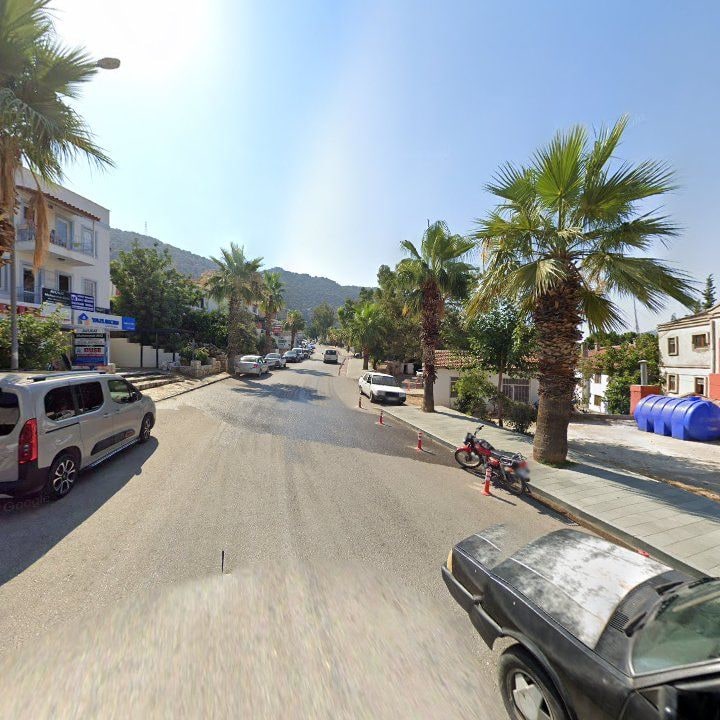 Fotoğraf 8