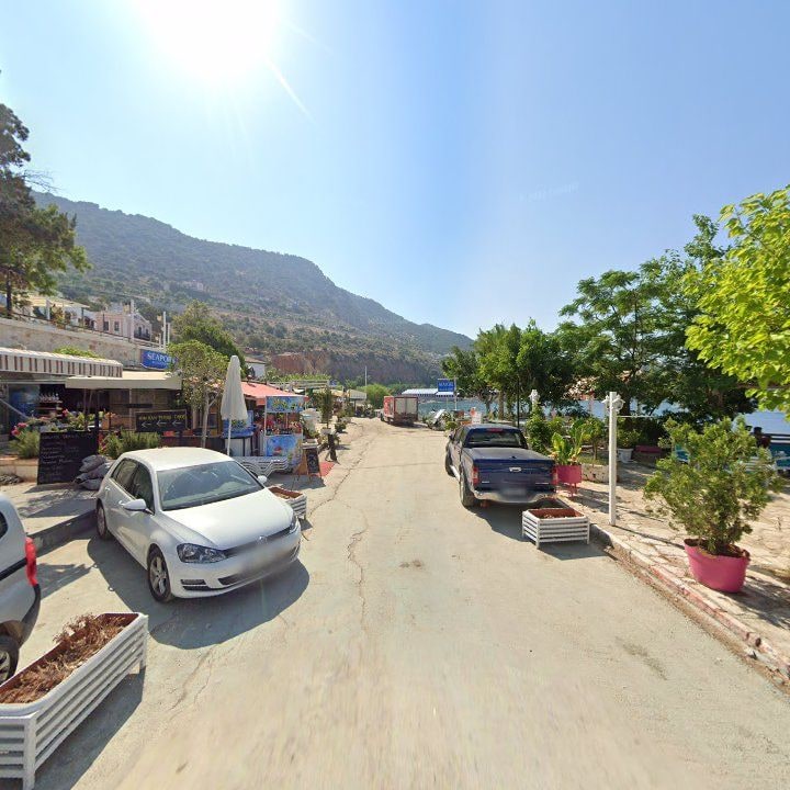 Fotoğraf 10