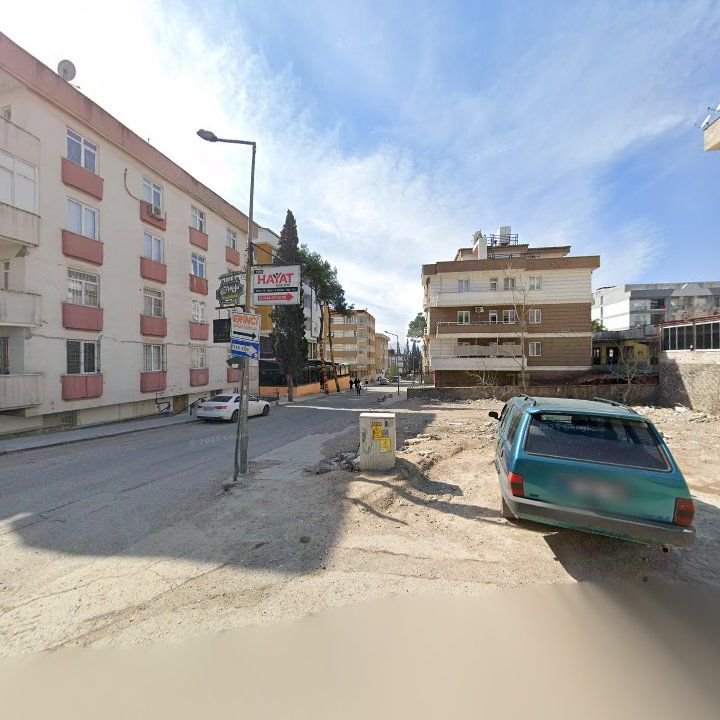 Fotoğraf 10