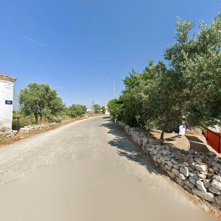 Fotoğraf 9