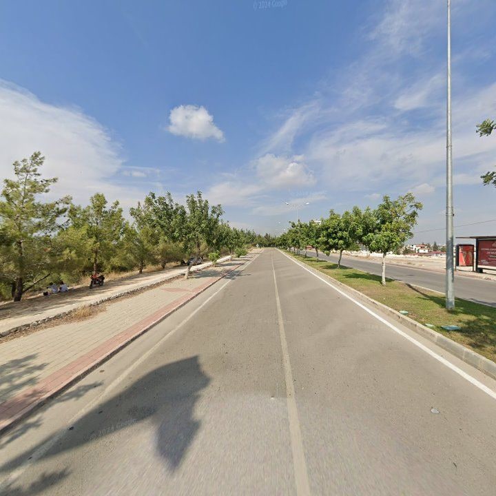 Fotoğraf 10
